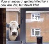 1737408308571836