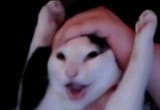 GniTN1YWQAAkf39