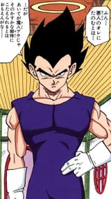Vegeta_Illustration