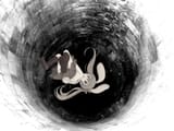 thebunnyhole
