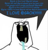 grokisthistrue