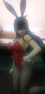 Homura Kogetsu Bunny