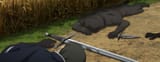 From.Old.Country.Bumpkin.to.Master.Swordsman.S01E11.1080p.AMZN.WEB-DL.DDP2.0.H.264-VARYG.mkv_snapshot_20.06_stitch