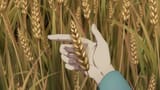 From.Old.Country.Bumpkin.to.Master.Swordsman.S01E11.The.Old.Country.Bumpkin.Throws.Himself.into.a.Deadly.Fight.1080p.AMZN.WEB-DL.DUAL.DDP2.0.H.265.MSubs-ToonsHub.mkv00001