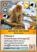 macaque