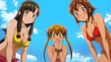 gargantia