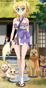 yukisummer