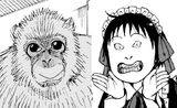 monke