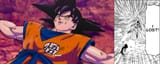Goku lost