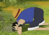 Luffy hates it