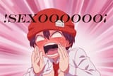 sexo