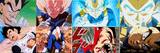 Vegeta-won