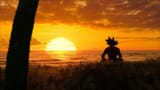 Goku sunset