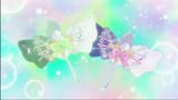 program-00506