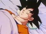 sleepku