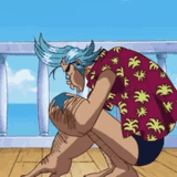 franky-franky-one-piece