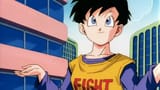 Videl.FusionReborn