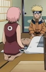 Sakura filler