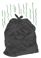 Pan