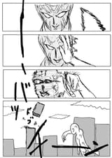 6 (13)