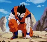 gohan kneel