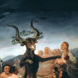 black goat