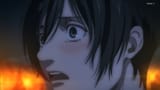blush mikasa