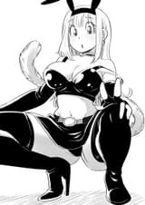 Saiyan Bra