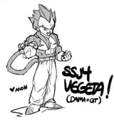 SSJ4VEGETADAIMAGT