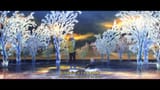 snapshot00097