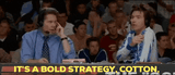 bold-strategy-cotton-dodgeball