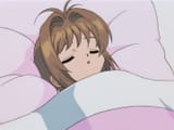 Sakura sleep 3