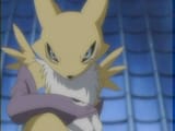 -Renamon