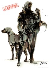 venom snake and diamond hound