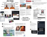 The_Pedo_Camoflauge_Strategy