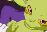 green kitty