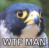 wtf_man