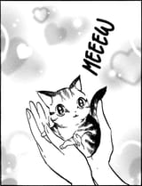 mew (stripes)