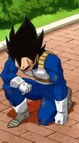 kneel vegeta 2
