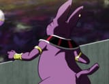 CHAMPA NOOOOOO