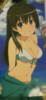 Saten Swimsuit 2