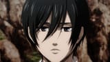 mikasa disappointed stare