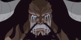why-is-kaido-crying-wrong-answer