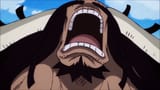 kaido yell