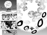 Black Clover - c289 (v29) - p118-119 [dig] [VIZ Media] [DigitalMangaFan]