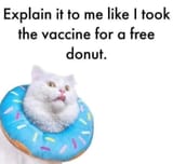 FB_IMG_1743432747975