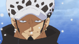 one piece the law