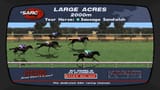 horse-racing