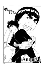 0173-002