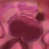 1744316500871590